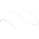 Atlantic White керамогранит 60x120