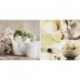 Декор Fresh Fruits Inserto B