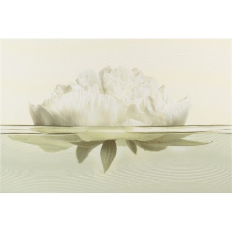 Flora декор пион