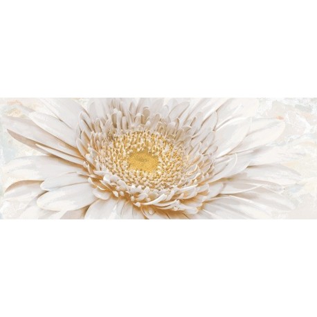 Illusione (Д 94 071)