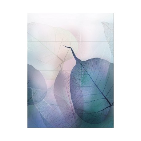 Vivid Colours Composition